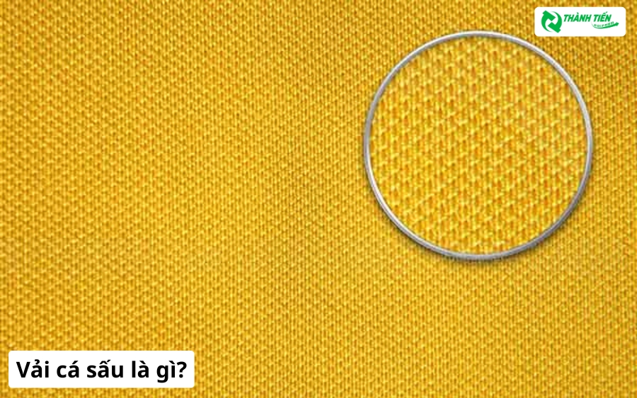 Áo thun vải cá sấu là gì?