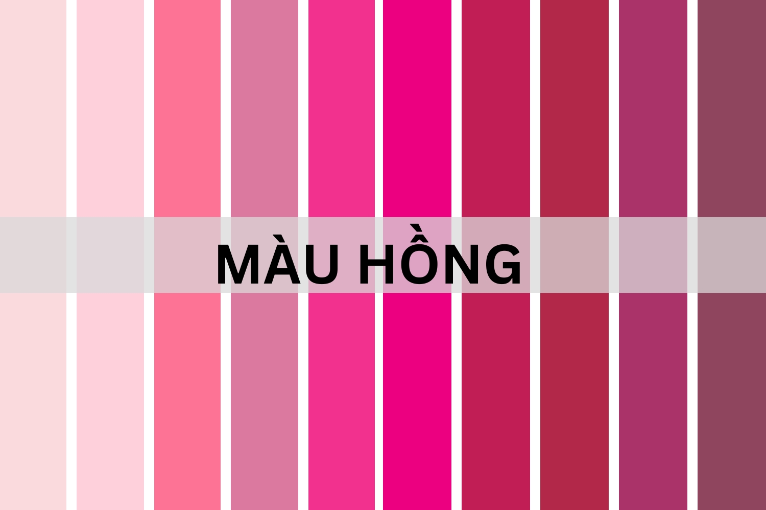 Các tông màu hồng được ưu chuộng hiện nay