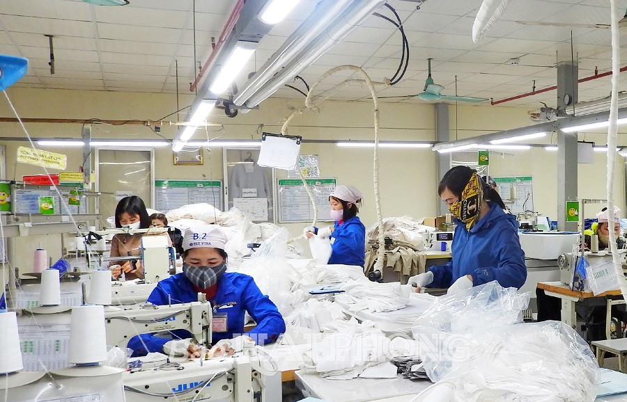 Công Ty TNHH Thời Trang Việt Lê - Công ty may đồng phục uy tín tại Đồng Nai 