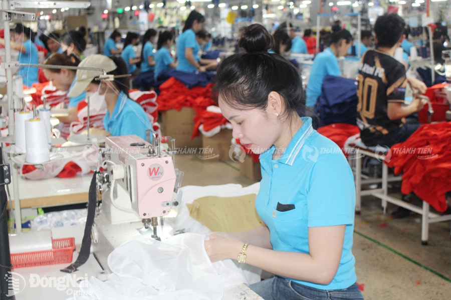 may dong phuc go vap 7